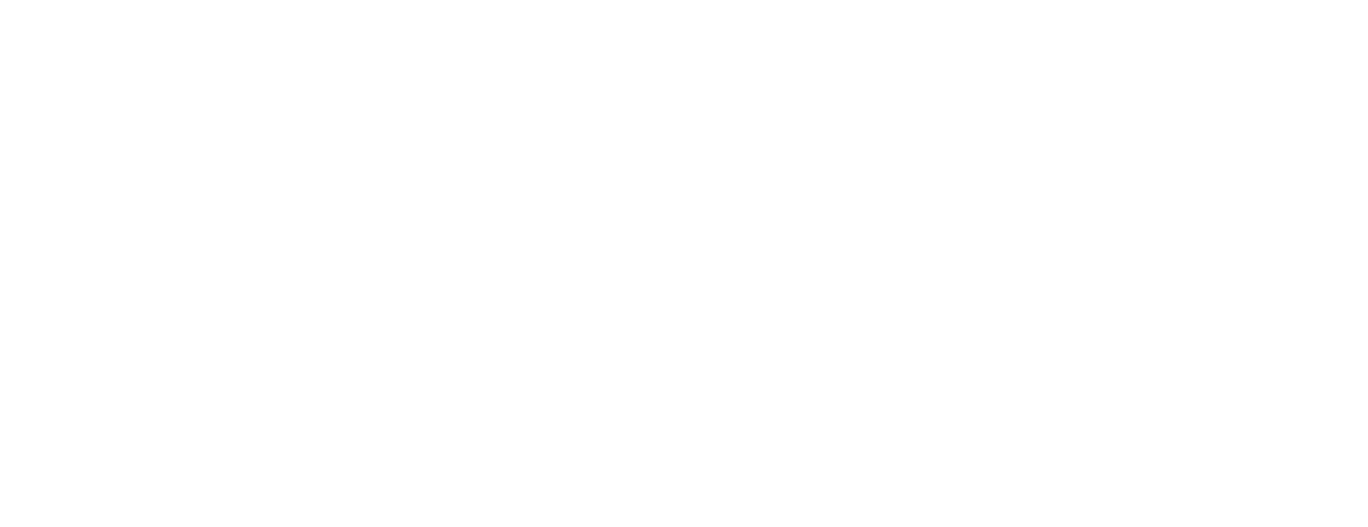 Parallel Duo logo